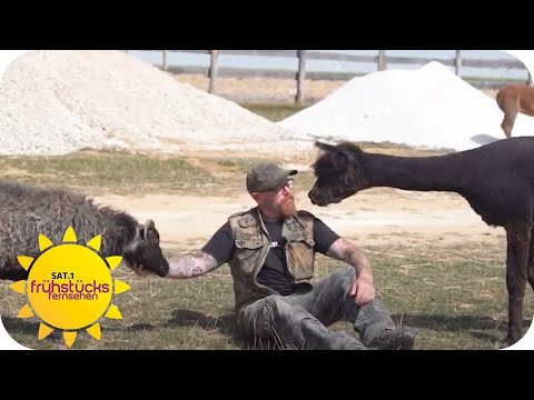 Vom Neonazi zum Tierschützer | SAT.1 Frühstücksfernsehen