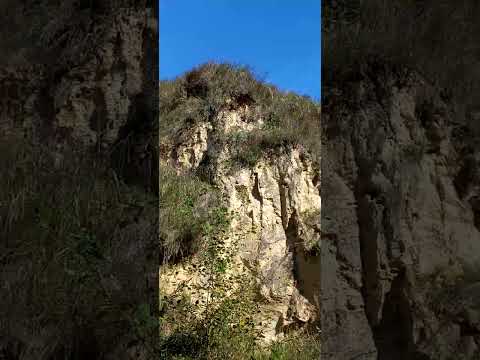 Wąwóz w Kunowie (tam gdzie występuje Żołna🐦). cz.1