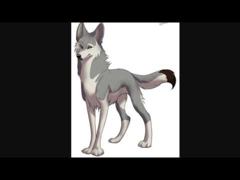 Anime Wolves - Break The Rules