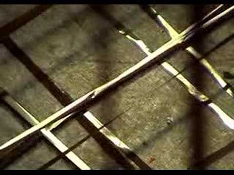 Tom Milnes- Sound Structure