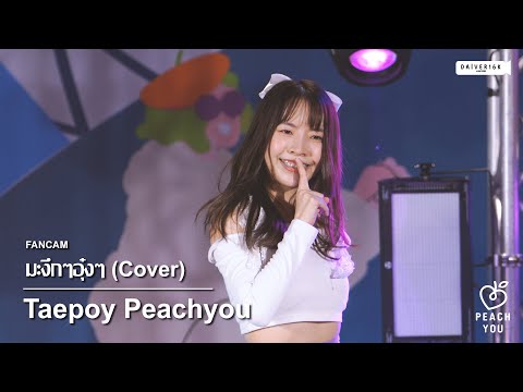 220528 [Fancam] Taepoy Peachyou - มะงึกๆอุ๋งๆ (Cover) | ORNLY YOU @ The Market Idol Party [4K]