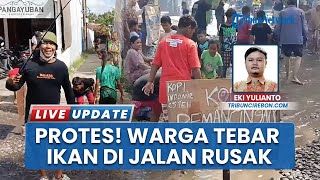 Protes Jalan Rusak, Warga Cirebon Tanam Pisang dan Tebar Ikan Lele hingga Mancing di Jalan