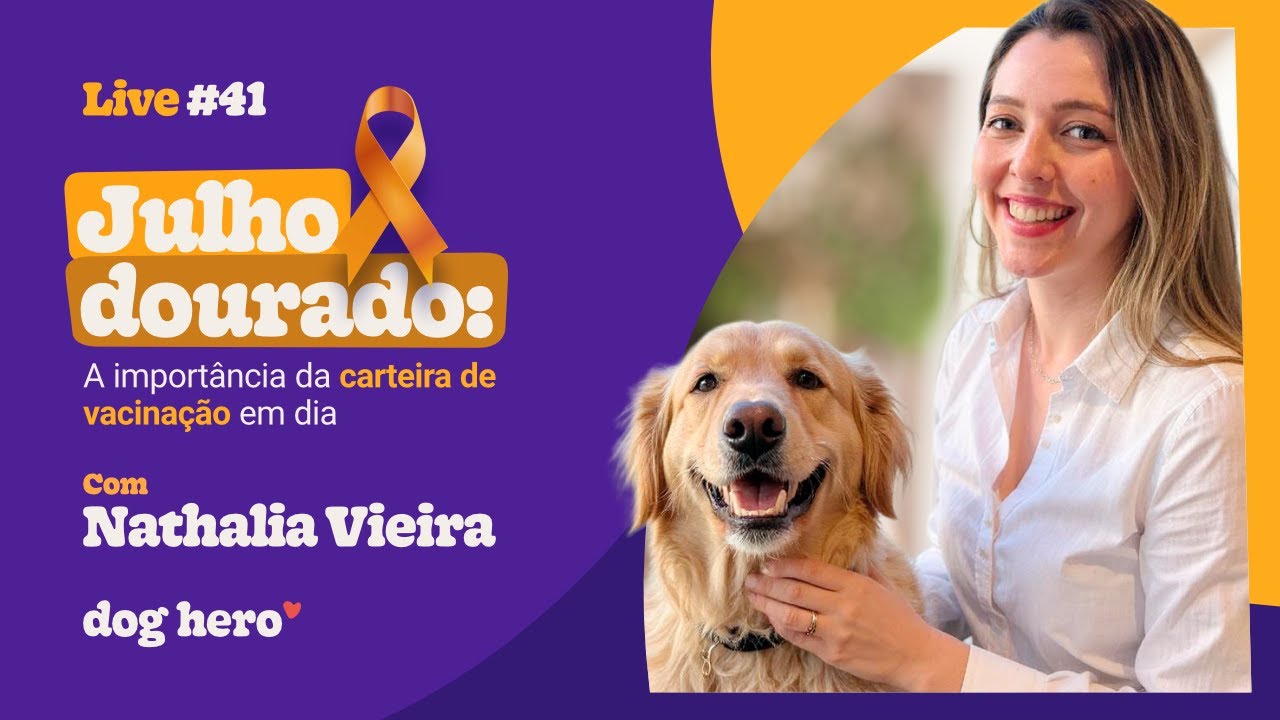 Julho dourado: A importância da carteira de vacinação em dia