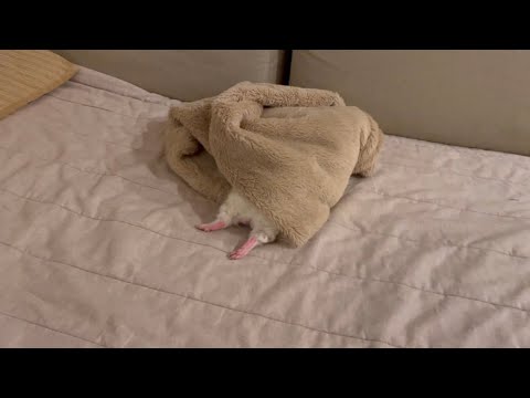 А как проходит ваш день?