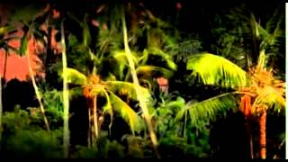 Aceyalone feat  Goapele  Moonlit Skies