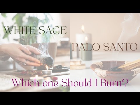 Clearing & Cleansing: White Sage or Palo Santo - Which Should You Use?