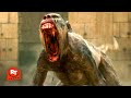 Gladiator II 2024 Rabid Monkeys Attack Scene Movieclips