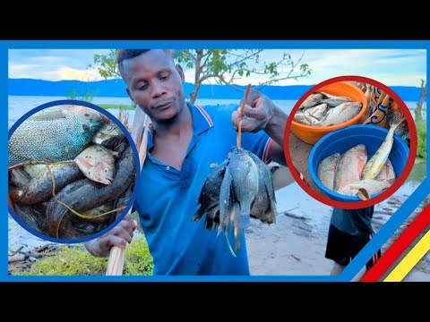 FAHAMU SAMAKI MBALI MBALI WA TAAMU NA UVUVI KATIKA ZIWA TANGANYIKA MJI WA BARAKA