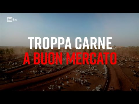 Troppa carne a buon mercato - Presadiretta 08/02/2021
