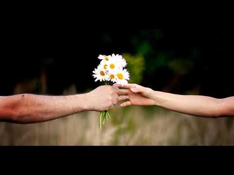 Vasile Palfi - Fostele iubiri