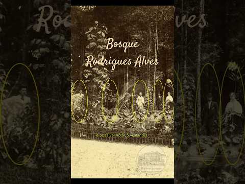 Bosque Rodrigues Alves - 143 anos (2026) A fotografia mais antiga!