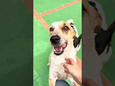 Conheça o novo espaço do Tunghat's Resort: Park Resort