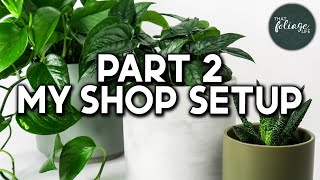INDOOR PLANT Collection Tour (Over 100+ Houseplants!) Part 2
