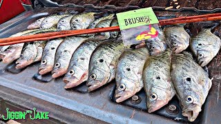 CANE POLE Fishing for CRAPPIE! This is CRAZY FUN and EASY!
