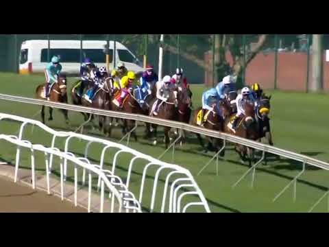 SILVER DARLING - 2022 WOOLAVINGTON 2000 Gr1