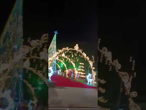 #shorts #short #shortvideo #brasil #minasgerais #varginha #christmas #art #beautiful #culture #arte