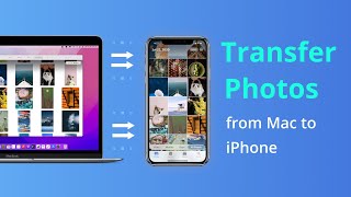 [4 Ways] How To Transfer Photos from Mac to iPhone Tutorial 2023