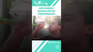 Luar Biasa Minum Air Hangat Bagus untuk Pencernaan, Termasuk Menghilangkan Limbah