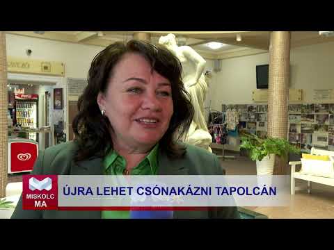 Videó előnézet