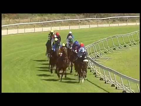 2017.01.07 Paddock Stakes (RSA) - Bela-Bela