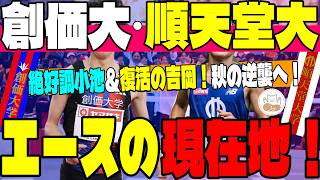 【創価大＆順天堂大】覚醒する小池×名門の命運を握る吉岡！創価大と順天堂大の夏から読み解く出雲・全日本・箱根のキーマン徹底考察！【箱根駅伝】