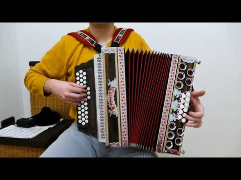 Button box  - Večer Na Vasi