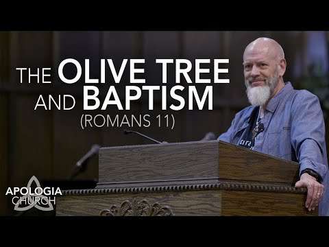 Sermon: The Olive Tree And Baptism