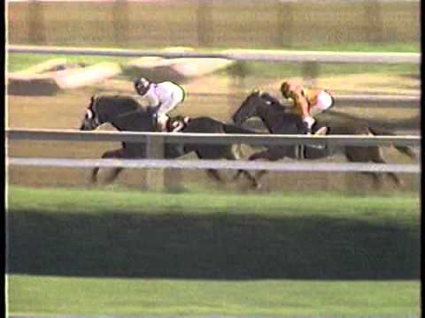 1989 Whitney H. -- Easy Goer