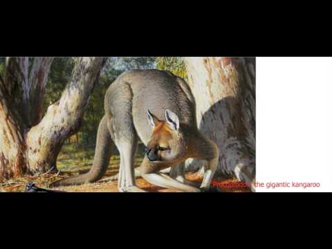 Extremely Cool Ancient Australian Megafauna