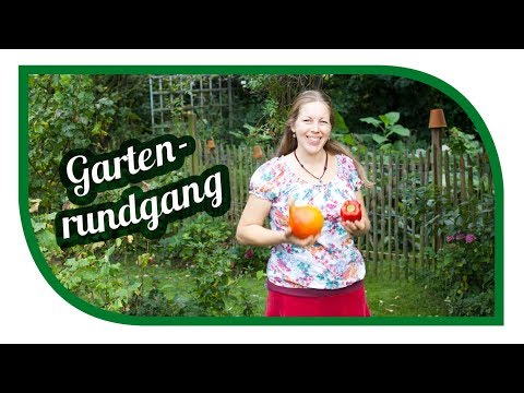 Garten im September 🍂 Gartenrundgang im Selbstversorger Garten