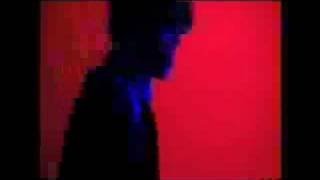 Most Serene Republic- Content Was Always My Favourite Colour