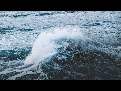 Marcus Warner - Osprey