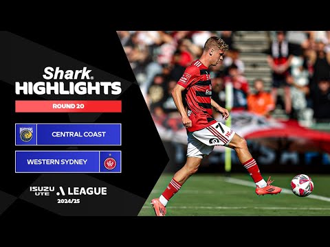 bg-highlight