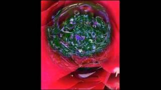 Heart Opening Meditation short & sweet