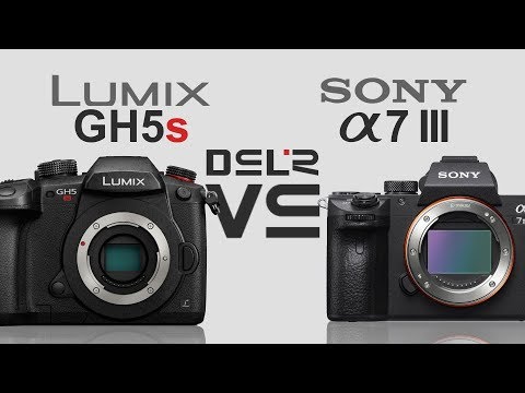 Panasonic Lumix GH5s vs Sony alpha a7 III