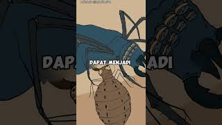 Download lagu Undur-Undur |Pemburu Pasir dengan Jebakan Maut mp3