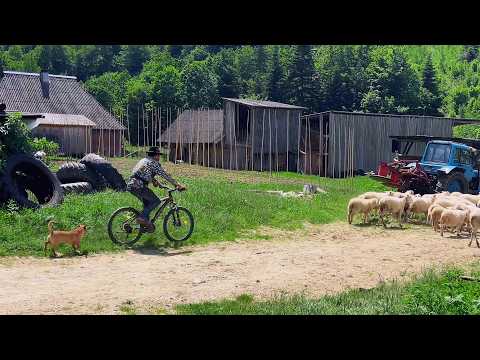 A Lifetime in a Remote Mountain Village