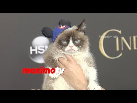 Grumpy Cat Auf Dem Roten Teppich In Hollywood Klatsch Tratsch De