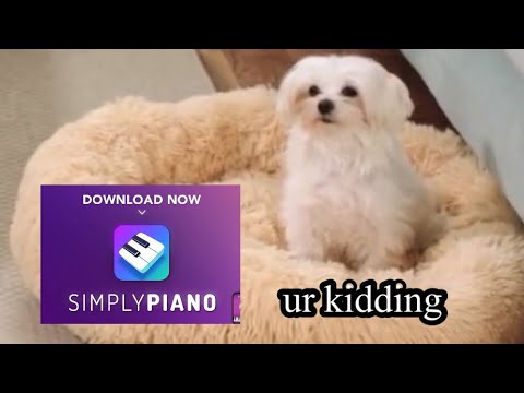 Simply Piano Ads: