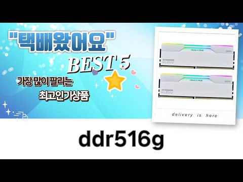 나비엔 제습청정기  DDR5 램 풀세트! (6000MHz CL30 도전?)