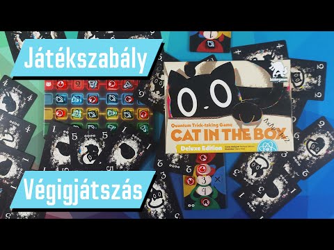 Cat in the box | Bemutató | Játékszabály | Végigjátszás - PumiGame