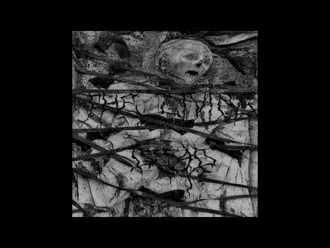 A13N$COUT -  THE LIVING DEAD