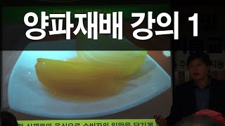 [효원농업기술TV] 농사의달인 안이영박사-양파재배 강의1 (천지농협설명회)