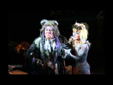 CATS Lucie Novotná Josef Zíma