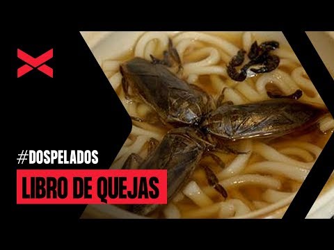 Libro de Quejas: RESTAURANTES CHINOS
