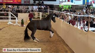 Vídeo de Datejust 2