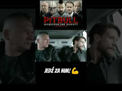 PITBULL NIEBEZPIECZNE KOBIETY! 🥰 JEDŹ ZA NIM! 💪 #shorts #trending #tiktok