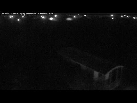 Camping Weltevreden Zoutelande - Live