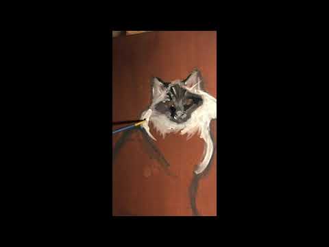 Pet portrait - using the Caravaggio technique part 1