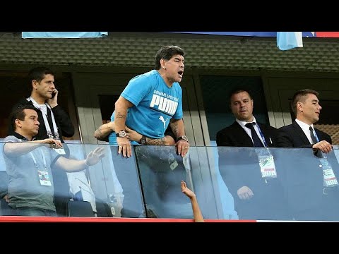 Intervento chirurgico sul gomito nei cani Che non si può avere un articolazioni malate